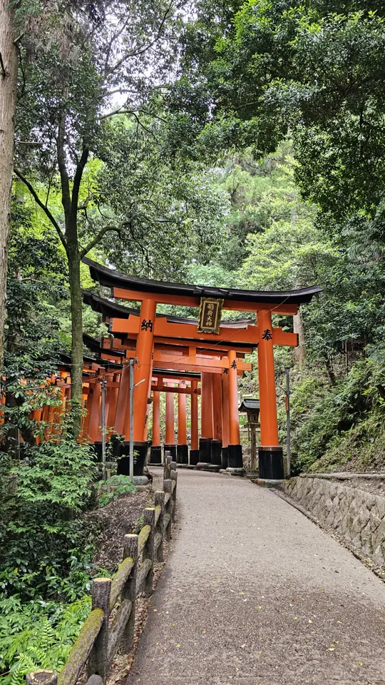 Torii passage at Fushimi Inari Taisha