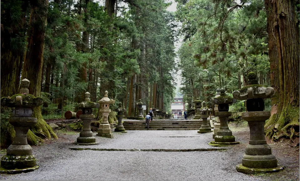 北口本宮冨士浅間神社の杉並木の参道