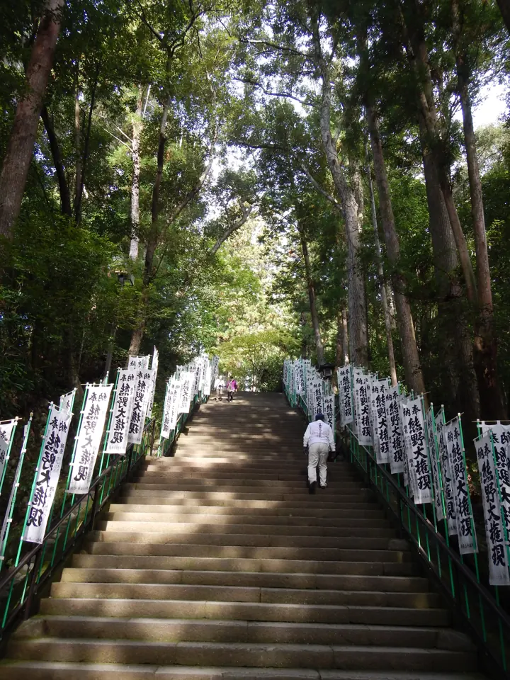 熊野本宮大社の木々に囲まれた石段の参道