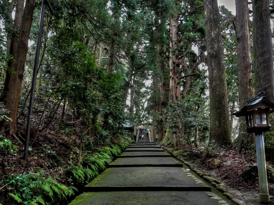 白山比咩神社の樹木に囲まれた表参道